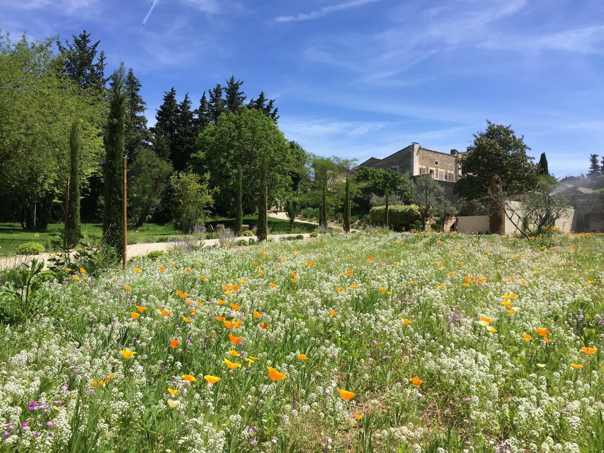 Domaine Les Martins - Gordes Hotel Buitenkant foto